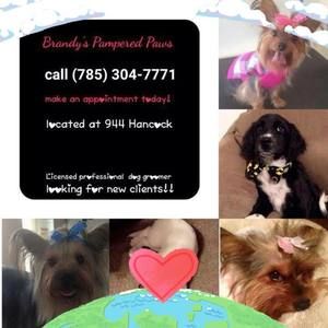 Meet your Posher, Brandy